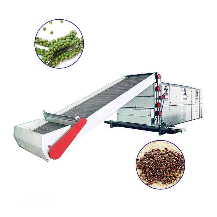 black pepper continuous mesh belt dryer